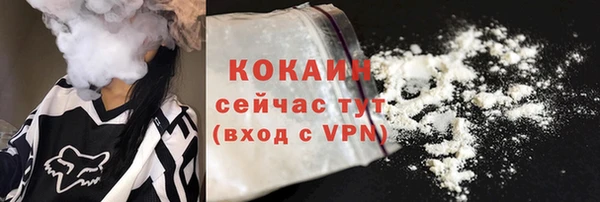крисы Магас