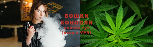 крисы Магас