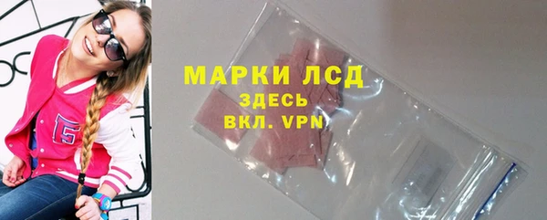 крисы Магас