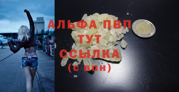 крисы Магас
